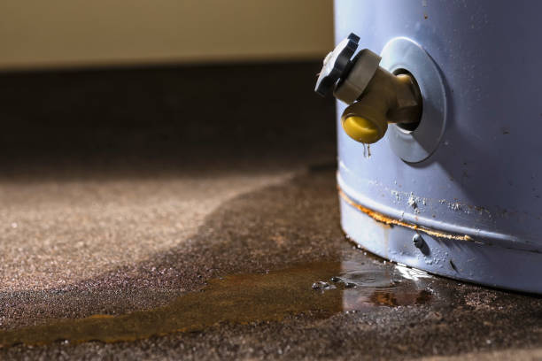 Best Mold removal after water damage  in Diand, MO