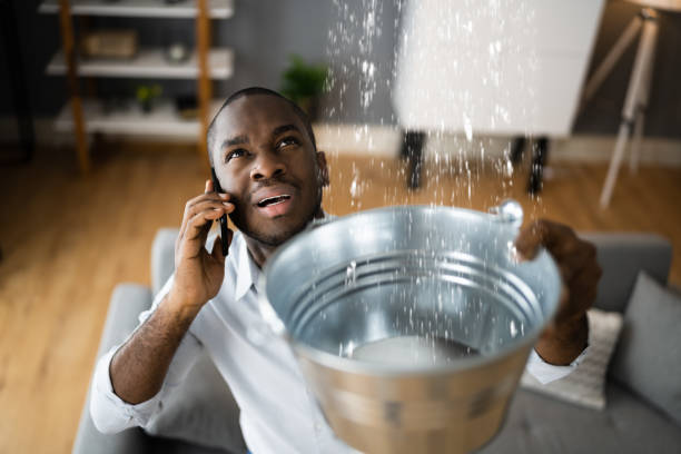 Best Basement water damage restoration  in Diand, MO