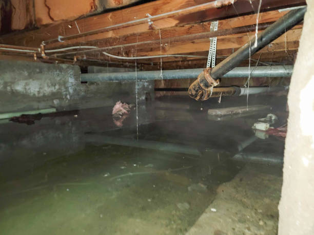 Best Emergency water damage restoration  in Diand, MO