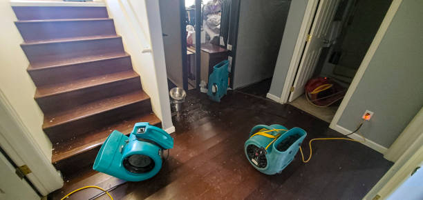 Best Flood damage cleanup  in Diand, MO