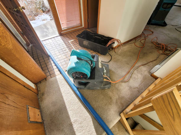 Best Flooded house restoration  in Diand, MO