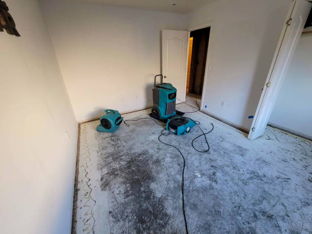 Best Water damage cleanup near me  in Diand, MO