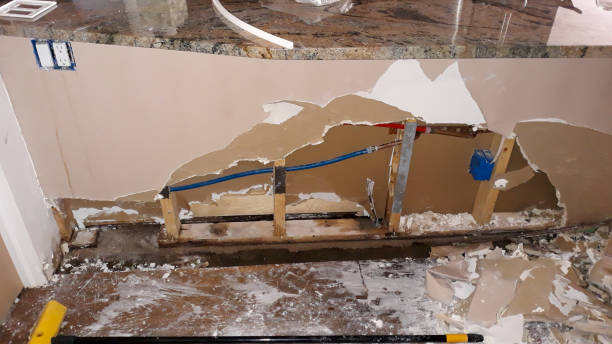 Best Sewage cleanup and water damage restoration  in Diand, MO