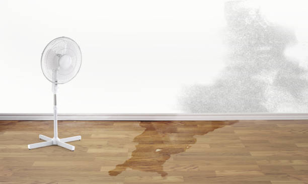 Best Flooded house restoration  in Diand, MO