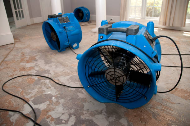 Best Fire Damage Restoration  in Diand, MO