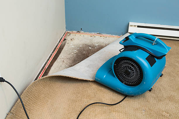 Best 24-hour water damage restoration  in Diand, MO